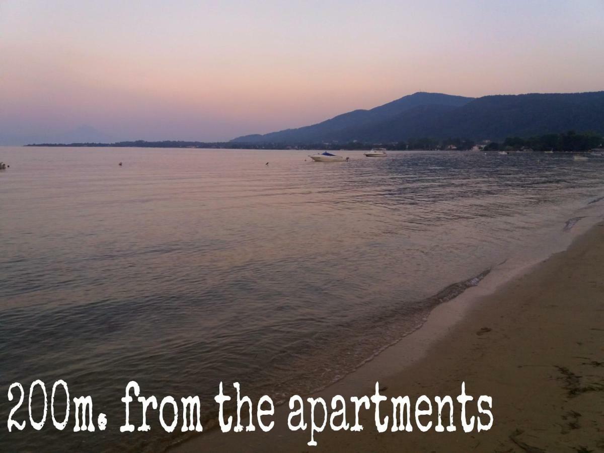 Athina Vourvourou Apartments Eksteriør bilde